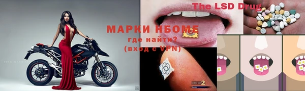 spice Богданович