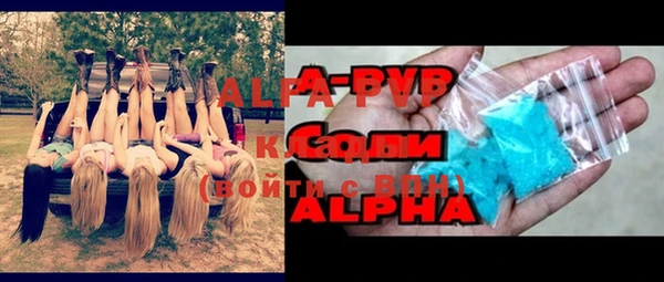 spice Богданович