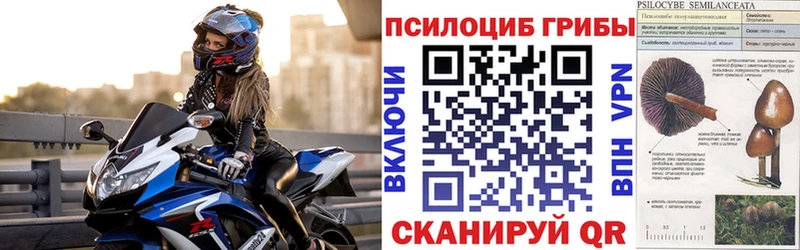 Галлюциногенные грибы Magic Shrooms  хочу наркоту  Долгопрудный 